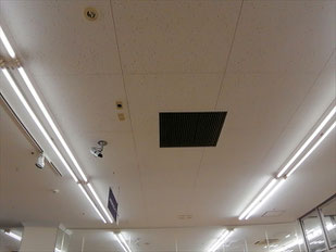 防カビ施工後の天井