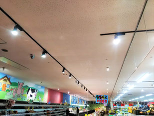 防カビ施工後の天井