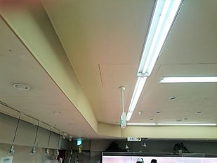 防カビ施工後の天井
