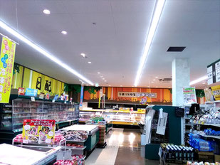 防カビ施工後の天井