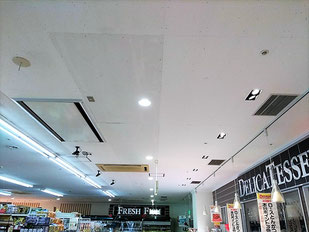 防カビ施工後の天井
