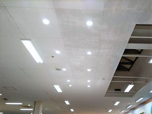防カビ施工後の天井