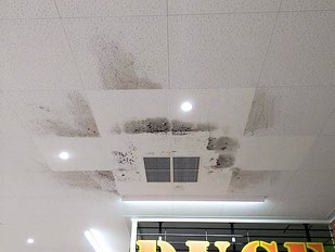 カビ除去前の天井のカビ
