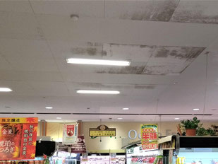 カビ除去前の天井のカビ