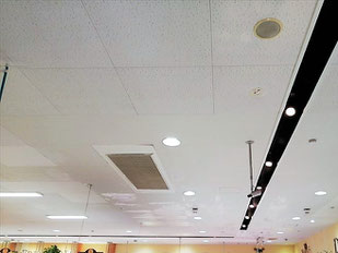 防カビ施工後の天井