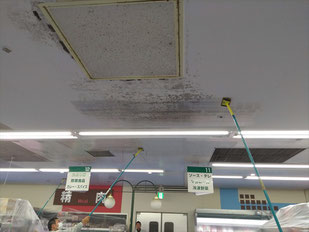 カビ除去作業中
