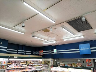 防カビ施工後の天井