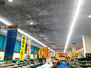 カビ除去前の天井のカビ
