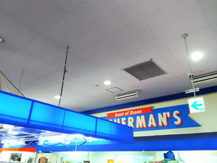 防カビ施工後の天井