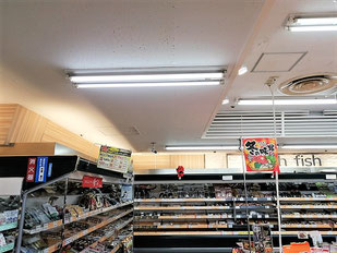 防カビ施工後の天井