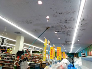 カビ除去作業中
