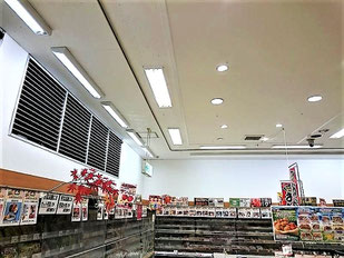 防カビ施工後の天井