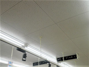 防カビ施工後の天井