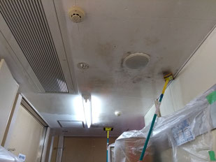 カビ除去作業中