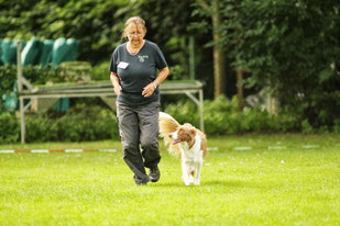 Obedience Prüfung 01.09.2013