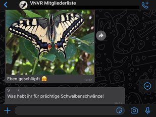 Signal, WhatsApp, Fotos, Meldungen, Fragen, Mitglieder,  Beobachtungen