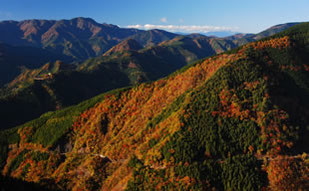 山登り