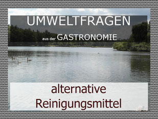 Alternative Reinigungsmittel in der Gastronomie