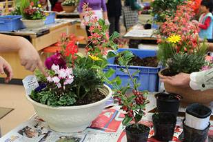 生産直売の宮子花園は、各種寄せ植えや苔玉等の園芸教室や、フラワーアレンジ・ハーブの利用法等お花やハーブの教室も承ります。