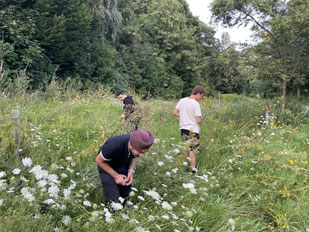 Foto: NAJU Hamburg