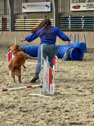 Baasje en hond tijdens Fun-Gility workshop van Dog-Coach