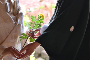 結び 松尾芭蕉会館 着付け師 ウエディングフォト ブライダルフォト wedding photo 前撮り 後撮り 白無垢 結婚式場 プレ花嫁 国際結婚 新婚 カメラマン 友禅 色打掛 結婚式準備 マリアフェリア 家族婚 少人数婚 marriage じゅあん 西美濃 大垣市 垂井町 揖斐川町 垂井町 海津町 神戸町 養老町 羽島市 瑞穂市 穂積 巣南 各務原市 関ヶ原町 大野町 大垣城 岐阜市 北方町 輪之内町 池田町 隠れ家 フォト婚 和婚 和装 花嫁 和ロケ 大人婚 着物女子 着物ロケ 思い出 写真館 