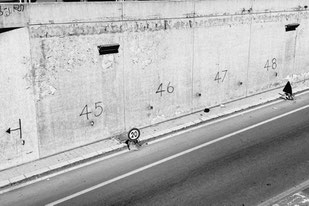 © Amin El Dib