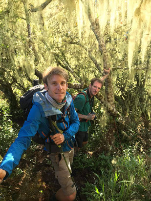 randonner trail vtt à la réunion avec ayapana 