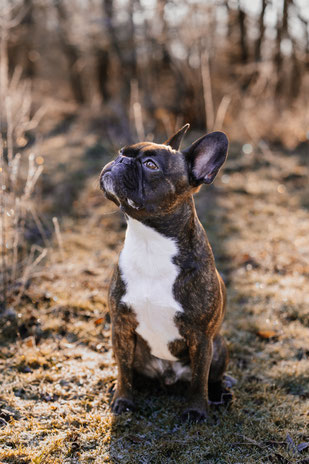 Fotoshooting Sandra Volmer_Volbild.de