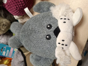 2025_10_17 Kuscheltiere_ Foto: Oetken