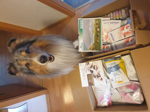 2025_01_24_ Spendenpaket für Momo_ Foto:Oetken