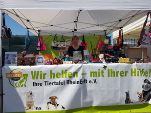 24.08.2024 Poolparty im Tierheim Dormagen, Foto: Oetken