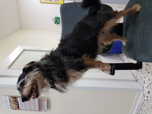2022_02_12_ Buster_ Foto: Oetken
