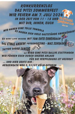 Plakat der Pitzis