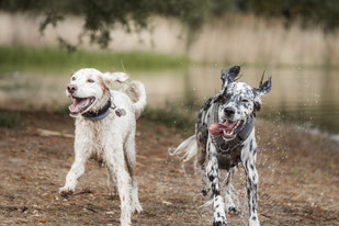 Fotoshooting Sandra Volmer_Volbild.de