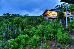 Urlaub Lamington-Nationalpark: O'Reilly's Rainforest Retreat