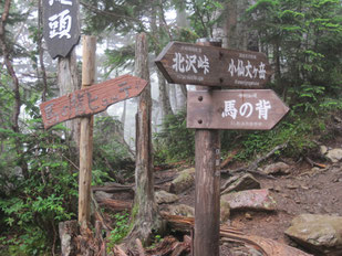 五合目(大滝ノ頭)　※小雨の中、ここで昼食を摂る。