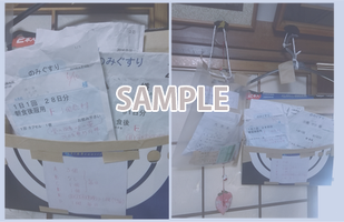 訪問現場の観察例（エスノグラフィー）
