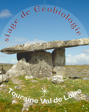 stages et formations en geobiologie avec martine dedieu en touraine val de loire - annuaire viaenergetica.fr