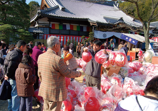 金鑚大師　だるま市