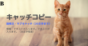テンプレートB