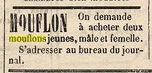 Le Petit Bastiais 18 mai 1892