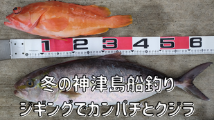 冬の神津島船釣り　ジギングでカンパチとクジラ