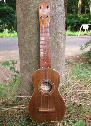 Jujiya Ukulele