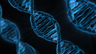DNA Stränge blau auf schwarzem Hintergrund