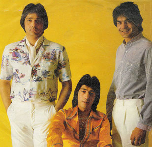 CHICHOS 82