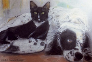 Retrato de mascotas, 50 x 75cm, 1996.
