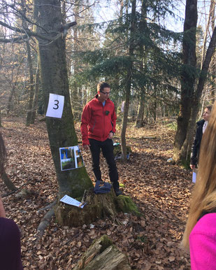 Wissensvermittlung im Wald