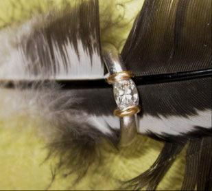 Ring und Feder