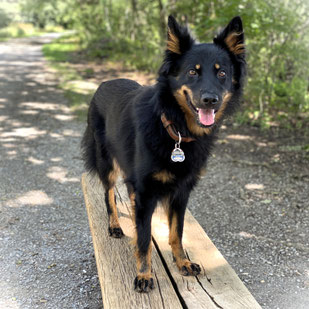 Flíoras besondere Eignung als Co-Coach? Viel Herz, eine feine Beobachtungsgabe sowie eine präzise Reaktionsfähigkeit